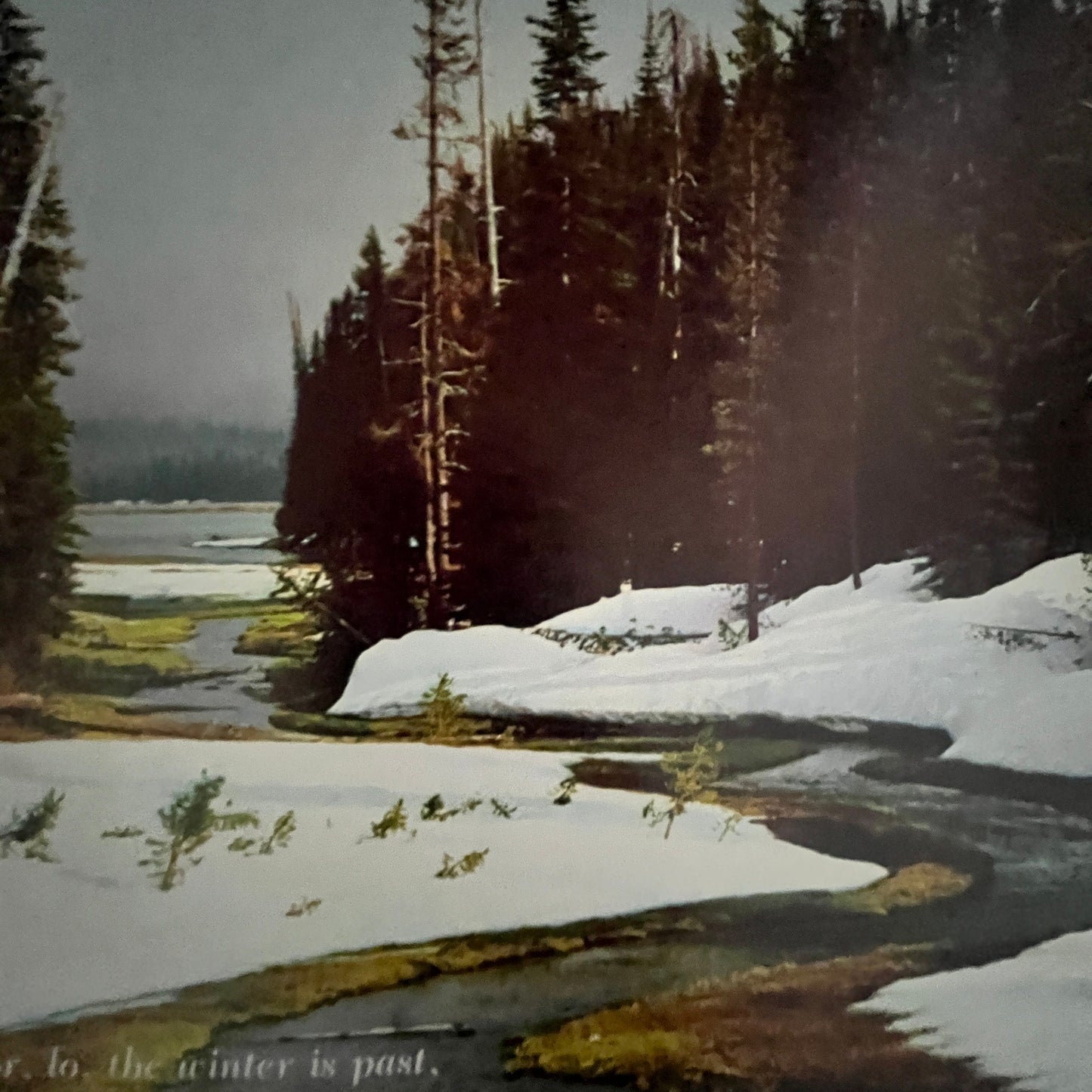 Song of Solomon 2:11 Winter is Past Rain is Gone 7x10" Art Print V17