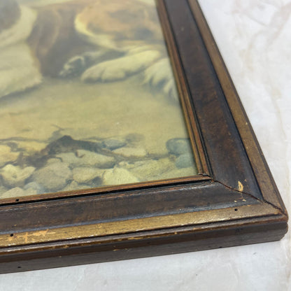 1906 Framed Wall Art Print Arthur Elsley Girl Sleeping St Bernard Dog On Beach