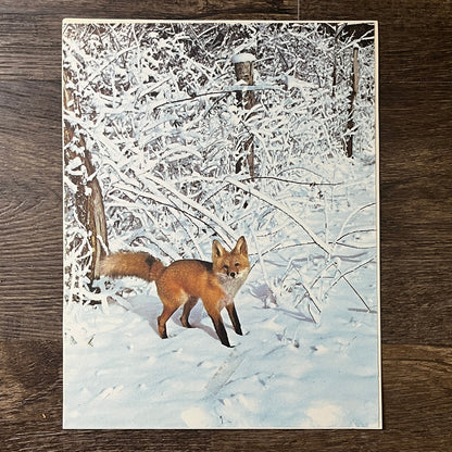 Retro Kitsch Red Fox in Snow Winter Scene Photo Print 8x11 Art Print V2