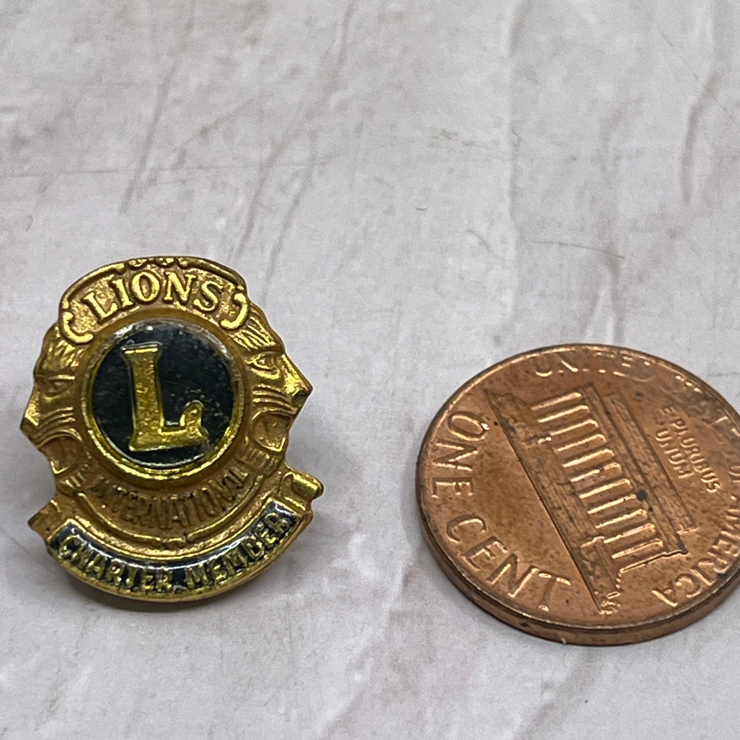Vintage International Lions Club Charter Member Pin Pinback SF4