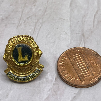Vintage International Lions Club Charter Member Pin Pinback SF4