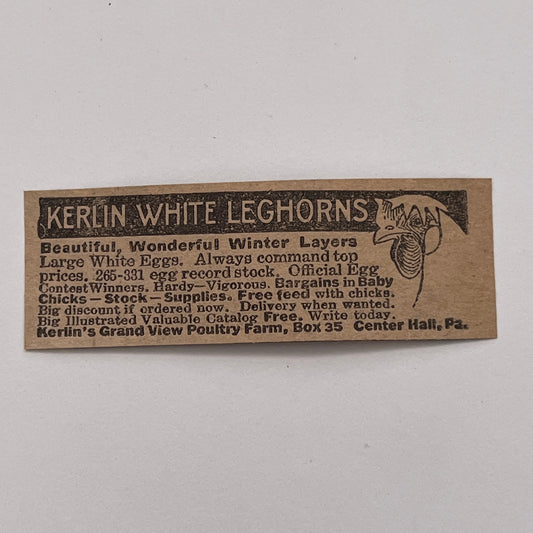 Kerlin's Grand View Poultry Farm White Leghorns Center Hall PA 1926 Ad AG3-S1