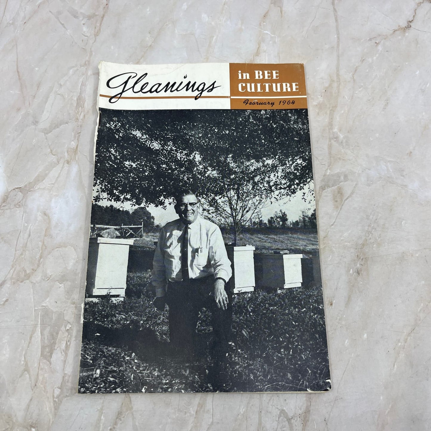 1964 Feb Gleanings in Bee Culture Magazine Bees Beekeeping Honey TD7