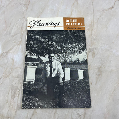 1964 Feb Gleanings in Bee Culture Magazine Bees Beekeeping Honey TD7