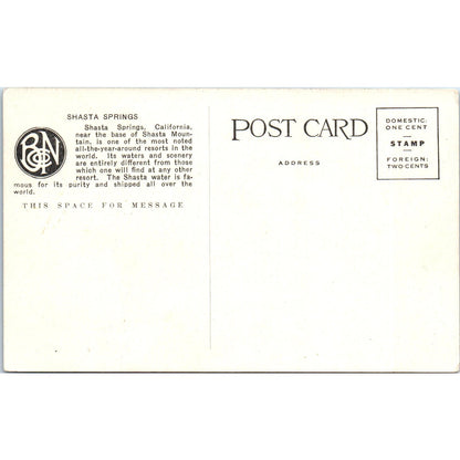 Shasta Springs California Southern Pacific Shasta Route Antique Postcard AF2-A4