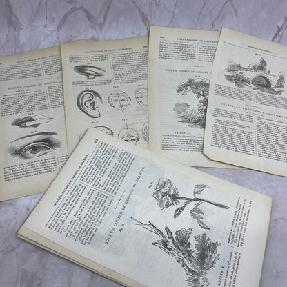 Huge Lot of Original Assorted Drawing Lessons From 1857 Godey's Book L3-2-MG3
