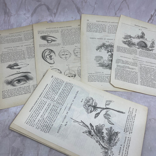 Huge Lot of Original Assorted Drawing Lessons From 1857 Godey's Book L3-2-MG3