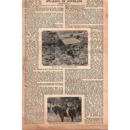 Ball Band Rubber Boots Red Ball Trademark Mishawaka Woolen Mfg Co 1920 Ad V1-3