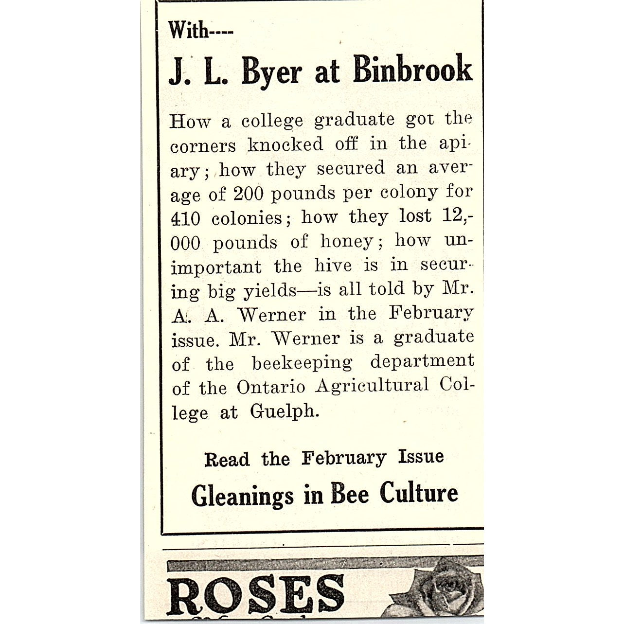 Whitesbog Blueberry Nurseries Joseph J White Whitesbog NJ 1926 Ad AG3-M8