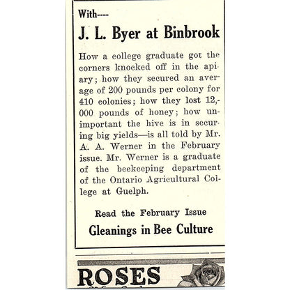 Whitesbog Blueberry Nurseries Joseph J White Whitesbog NJ 1926 Ad AG3-M8