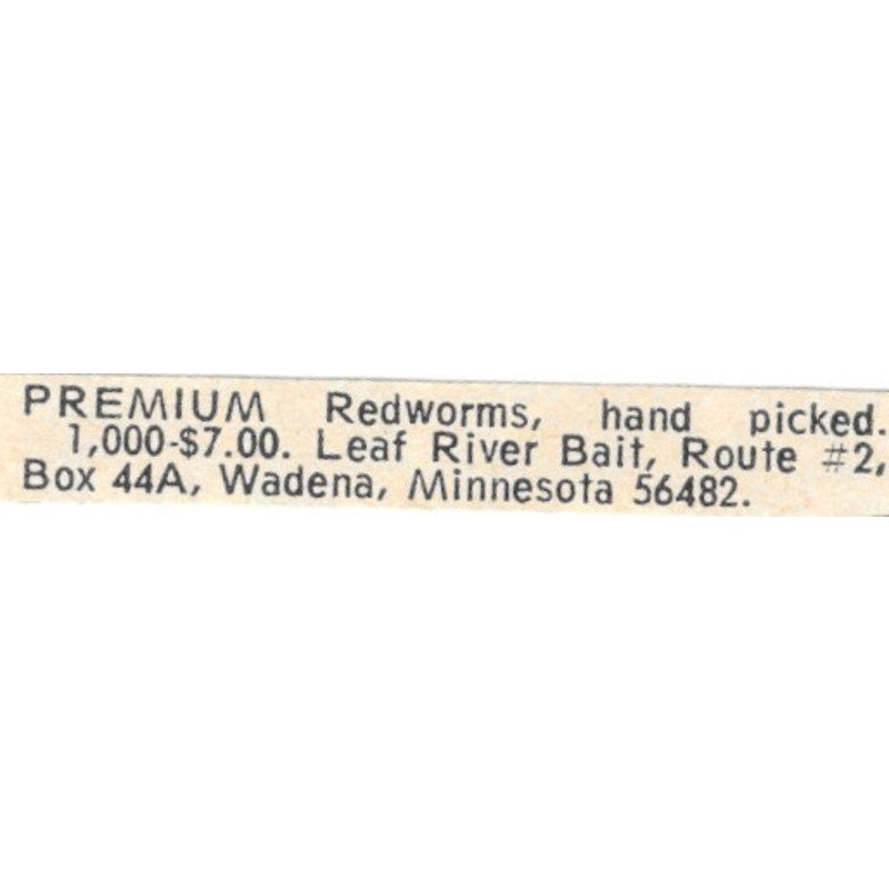 Leaf River Bait Redworms Wadena MN 1977 Ad AF6-S9