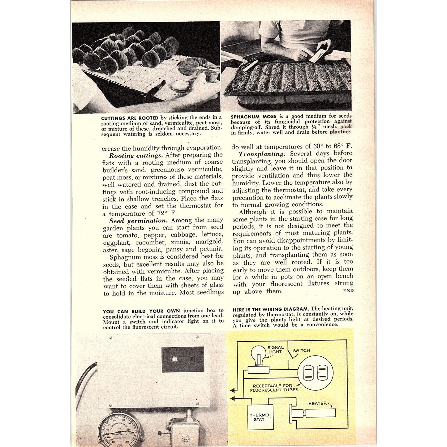 Gardening in the Wintertime W.O. Hawley R.F. Dowdle 2-Page 1955 Article AG1-4
