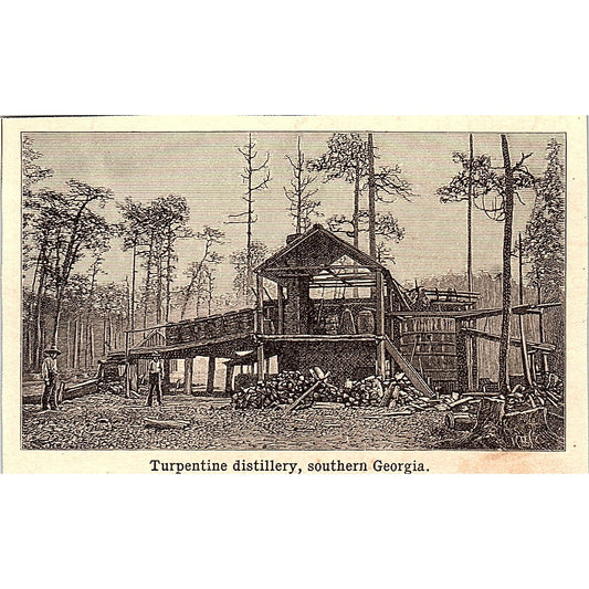 Turpentine Distillery Southern GA 3x4" 1901 Engraving AF6-M11