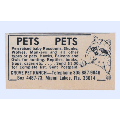 Grove Pet Ranch Miami Lakes FL 1977 Ad AF6-S1