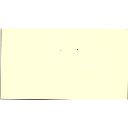 Georgene A Quirke Houston Software Inc Houston TX Vintage Business Card SD9-B2