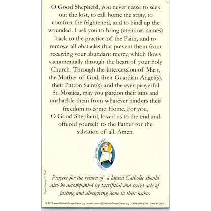 Novena Prayer for Lapsed Catholics Jubilee Year Prayer Card TH2-PC1