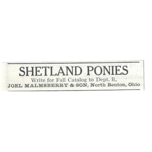 Shetland Ponies Joel Malmsberry & Son North Benton OH 1913 Magazine Ad AE7-N8