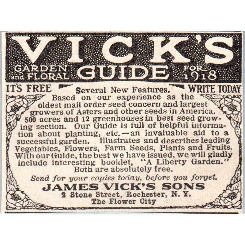 James Vick's Sons Garden Guide Rochester NY 1918 Magazine Ad AF1-SS2