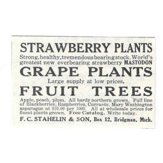 F.C. Stahelin & Sons Strawberry Plants Bridgman Michigan 1926 Ad AG3-S23