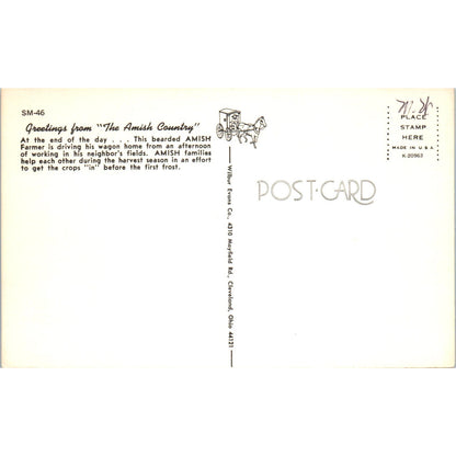 Amish Farmer Driving His Wagon Home Pennsylvania Dutch Country Postcard PD8