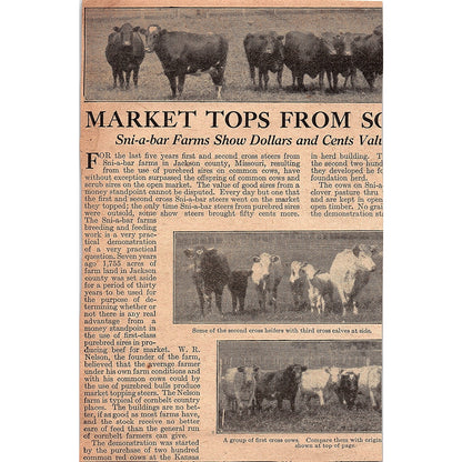 Power-Driven Sandwich Corn Shellers Sandwich Mfg Co Sandwich IL 1920 Ad AG2-6