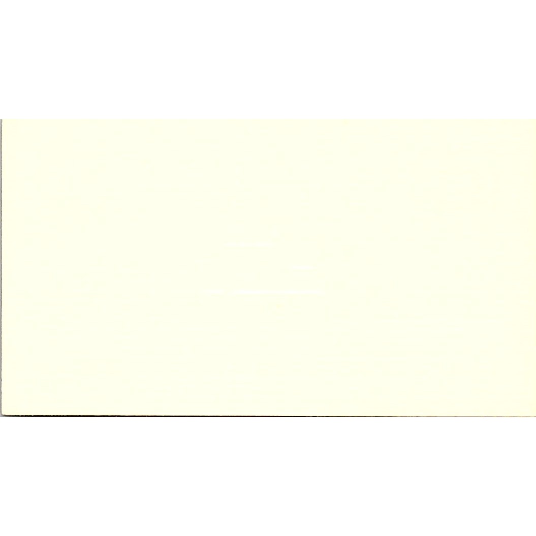 Connie Hudec Capital Bank Houston Vintage Business Card SC9-B5