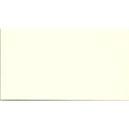 Connie Hudec Capital Bank Houston Vintage Business Card SC9-B5