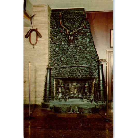 Old Original Bookbinder's Restaurant Philadelphia PA Vintage Postcard PD4