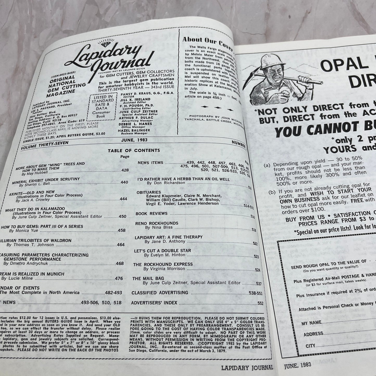 Stagecoach Petrified Wood & Sterling Silver - Lapidary Journal - Jun 1983 M25