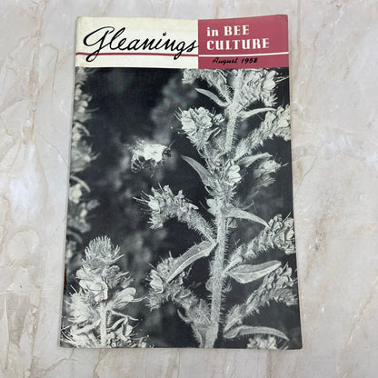 1958 Aug Gleanings in Bee Culture Beekeeping Magazine A.I. Root Co Medina OH TD5