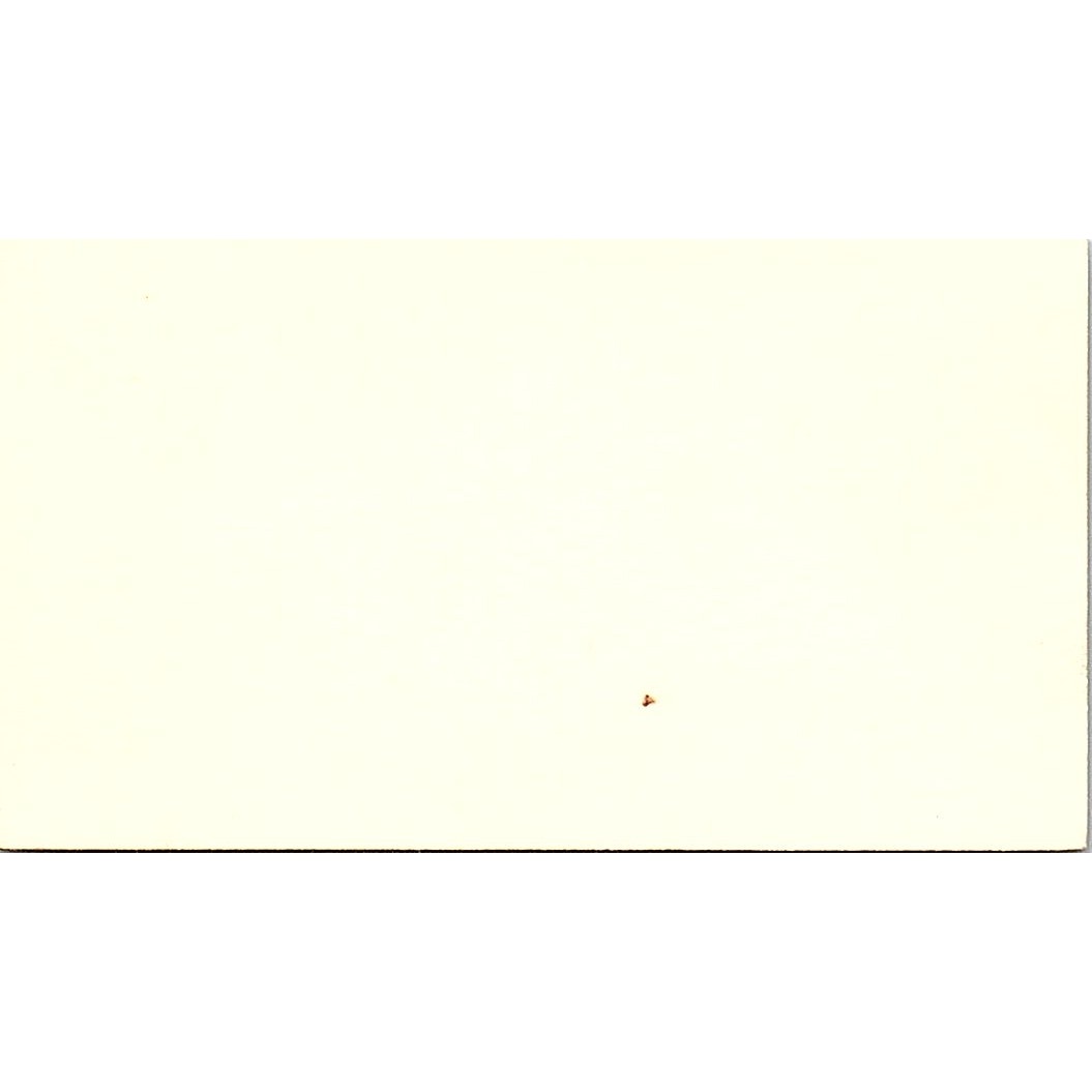 Capt. W.A. Walls, Inc. Michael Dennis Houston TX Vintage Business Card SSB4-B13