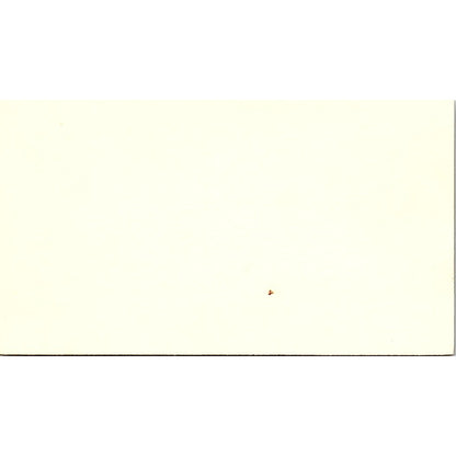 Capt. W.A. Walls, Inc. Michael Dennis Houston TX Vintage Business Card SSB4-B13