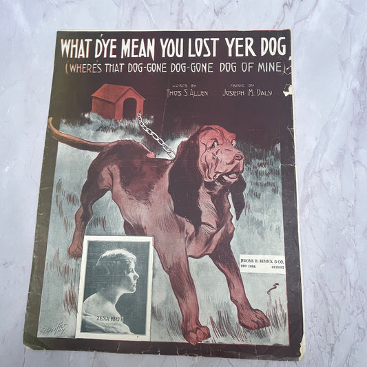 What D'ye Mean You Lost Yer Dog Thos S Allen 1913 Sheet Music V15