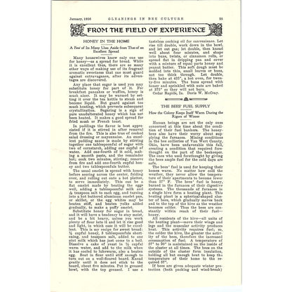 From The Field of Experience Honey in the Home Doris W. McCray 2 Page 1926 AG3-9