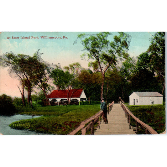 At Starr Park Williamsport PA c1912 Vintage Postcard PD8
