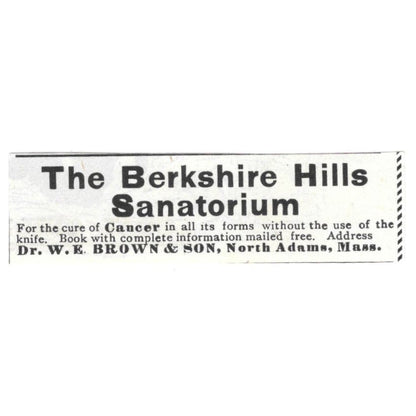 The Berkshire Hills Sanatorium W.E. Brown & Son North Adams MA c1890 Ad AE8-CH12