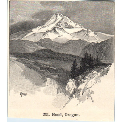 Mount Hood in Oregon 1901 Engraving AF2-P1