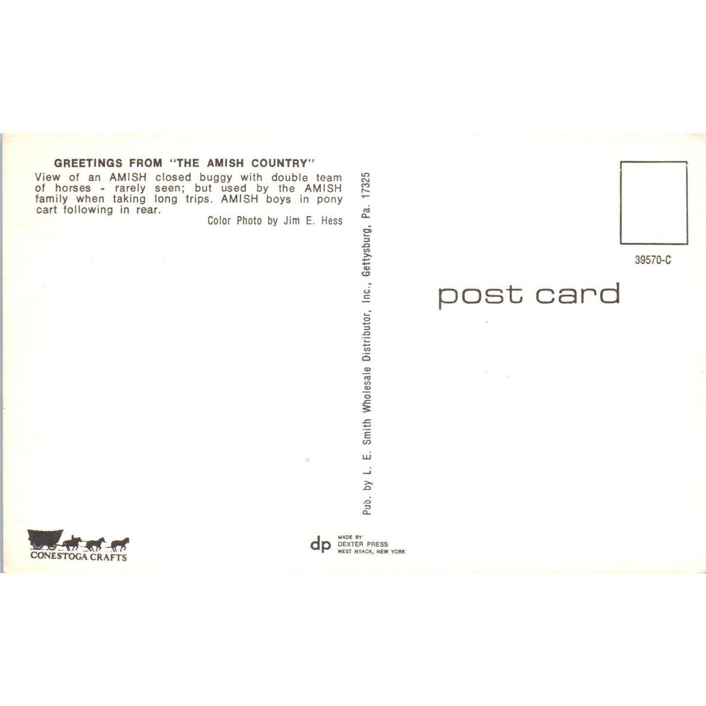 Amish Boys in Pony Cart Intercourse Pennsylvania Dutch Country Postcard PD8