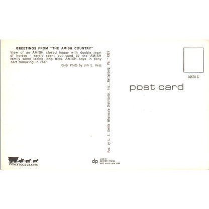 Amish Boys in Pony Cart Intercourse Pennsylvania Dutch Country Postcard PD8