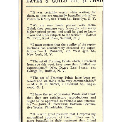 Braun's Carbon Print Braun, Clement & Co New York - 1908 Ad AF4-8