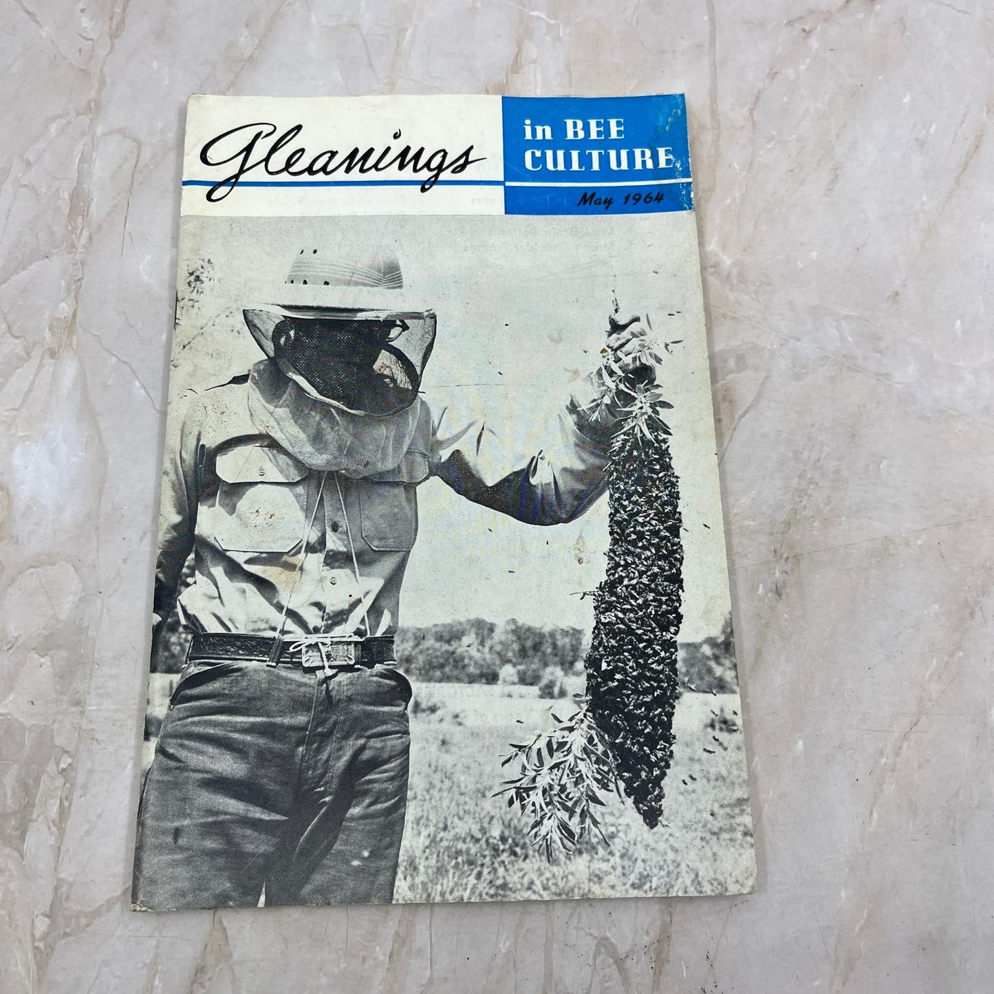 1964 May Gleanings in Bee Culture Magazine Bees Beekeeping Honey TD7