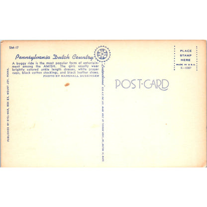 Amish Girls on a Buggy Ride PA Dutch Vintage Postcard PD4