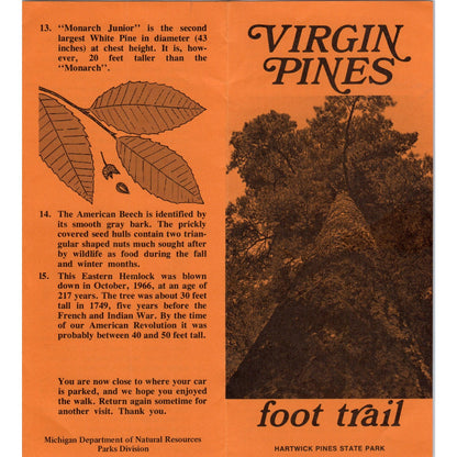 Vintage Virgin Pines Foot Trail Hartwick Pines State Park MI Brochure TF4-B3