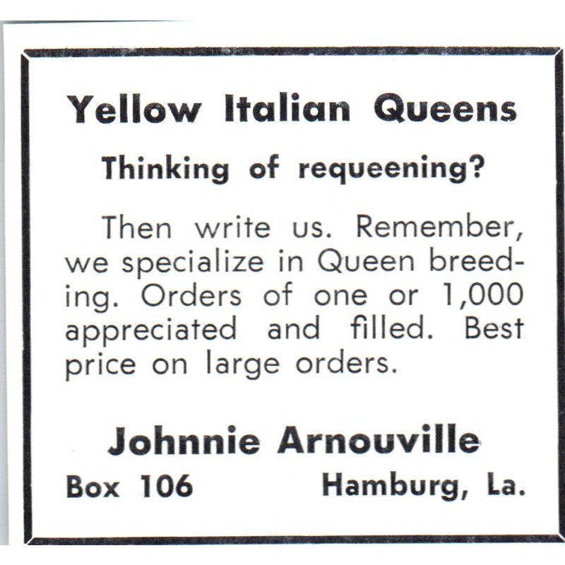 Johnnie Arnouville Yellow Italian Queen Bees Hamburg LA 1964 Magazine Ad AB6-S14