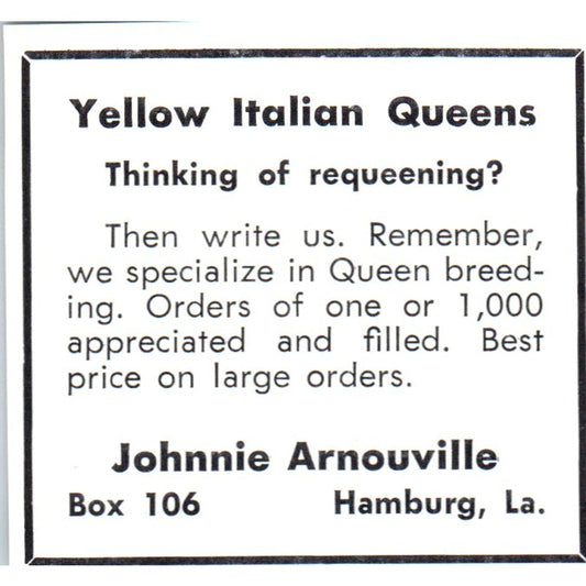 Johnnie Arnouville Yellow Italian Queen Bees Hamburg LA 1964 Magazine Ad AB6-S14