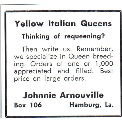 Johnnie Arnouville Yellow Italian Queen Bees Hamburg LA 1964 Magazine Ad AK5-S36