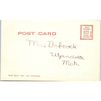 c1905 Public Library S.B. Robinson Belmont MA Antique Postcard PC7