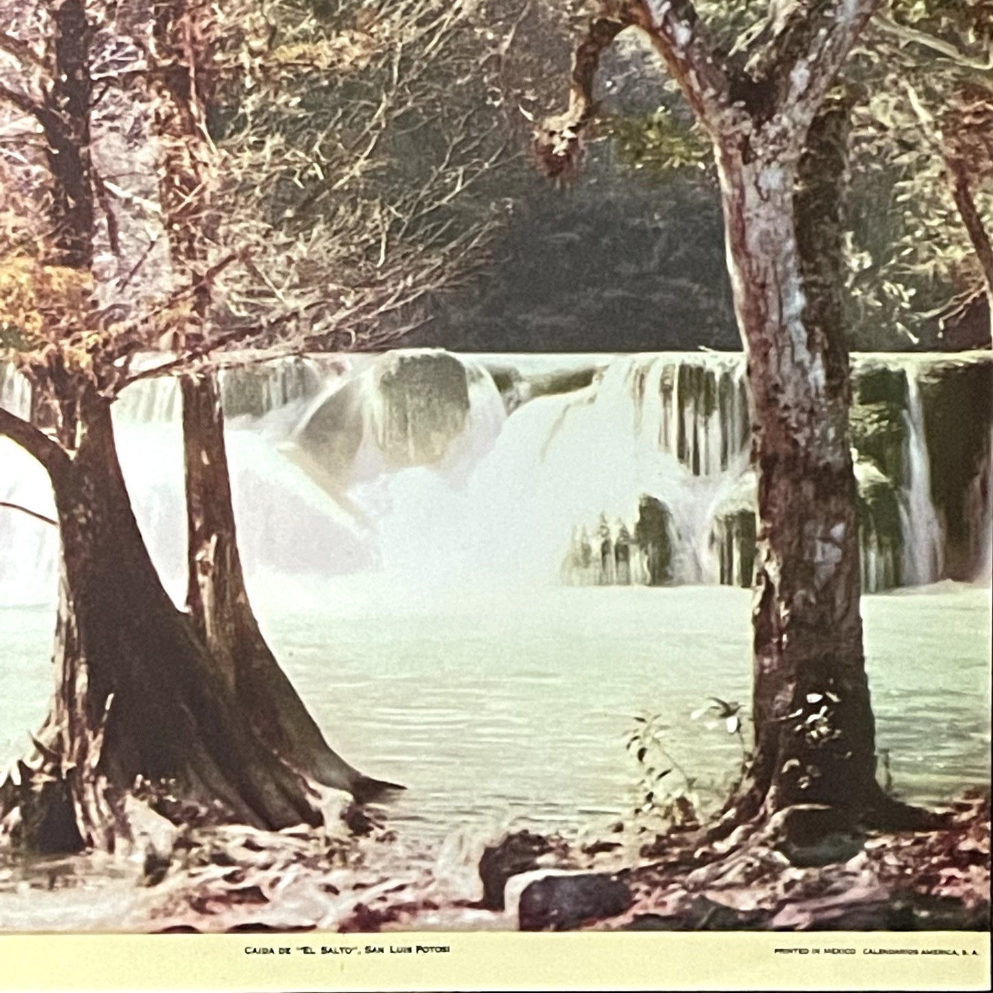 Caída De El Salto - San Luis Potosi Mexico Vintage Art Print 12x15 V11