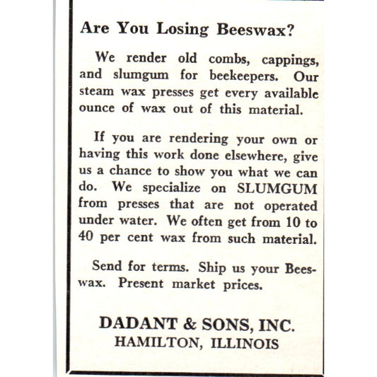 Bee Supplies Dadant & Sons Inc Hamilton IL 1964 Magazine Ad AK5-S36