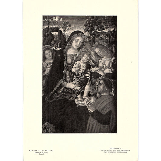 The Madonna of San Severino - Pinturicchio - 1904 Litho Art Print AF5-1